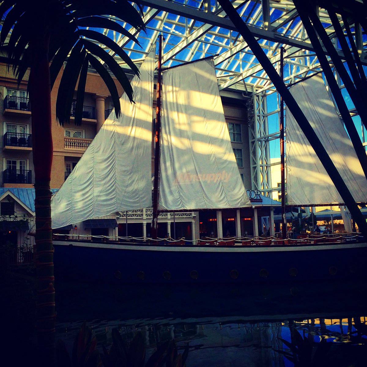 PerryGwenM's tweet photo. @amdapaltc is here in warm Orlando setting up for #paltc16! Looking forward to seeing everyone! https://t.co/N5nrSMf0ZV