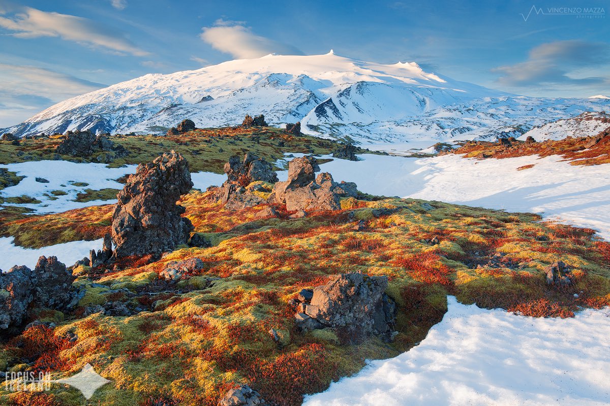 focusOnIceland's tweet photo. Natura is the greatest landscape painter.
 #Lava fields under the #Snaefell volcano in #Iceland.
#focusonIceland https://t.co/Lxl5jRkrti