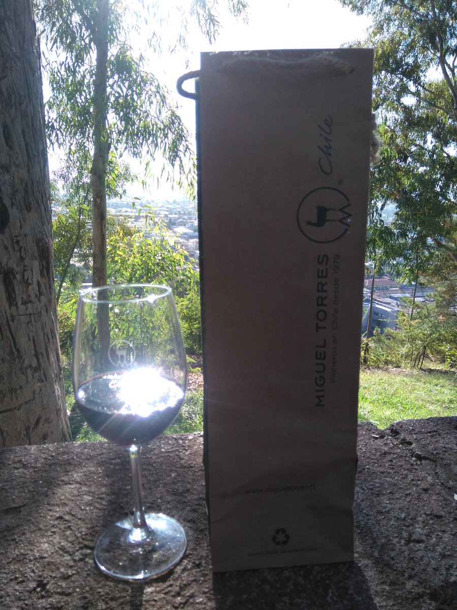 MilthonToala's tweet photo. De todo lo bueno que tiene Chile, lo mejor es los Vinos https://t.co/8KoMD8Dl1e