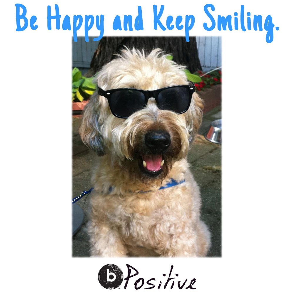 It's Wednesday! Be happy and keep smiling! #bpositive #HappyWednesday #dogsoftwitter #smile #positive