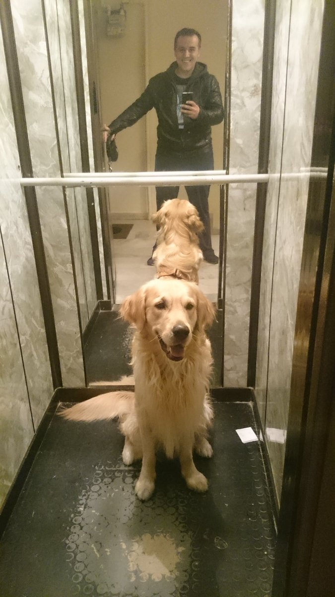 roccoguler's tweet photo. Asansör fotosu! Sokaklardan dönerkene :) https://t.co/fsRcHAawKd