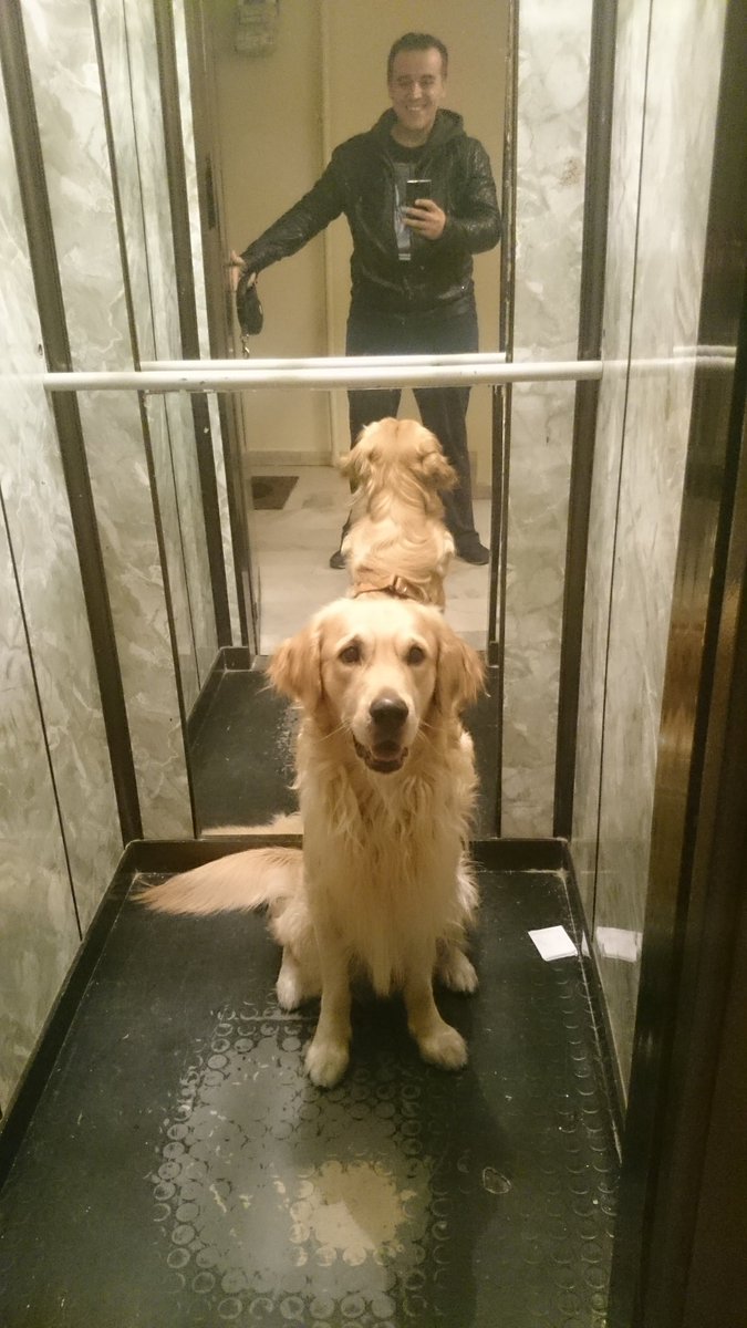 roccoguler's tweet photo. Asansör fotosu! Sokaklardan dönerkene :) https://t.co/fsRcHAawKd