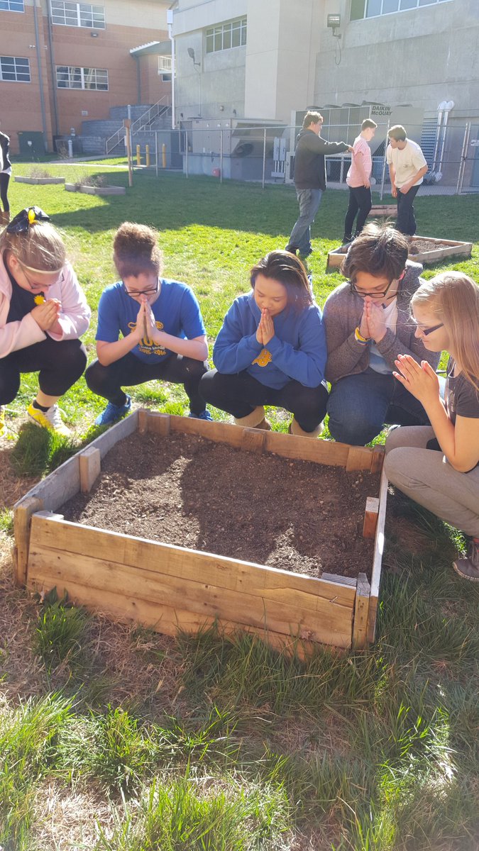 MrDePung's tweet photo. Checking on seed germination and plant growth #sciencelife #tigerstylescience @keyverra @DittrichJr https://t.co/menVxWC2CB