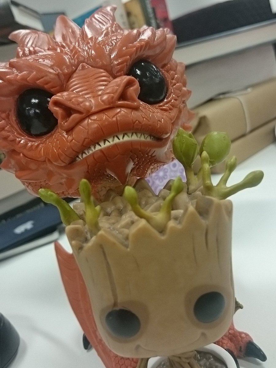 LilyDarvell's tweet photo. @hodderscape smaug is moving on to eating greens and I'm not sure we want that.. #freegroot https://t.co/iPXvTr48KC