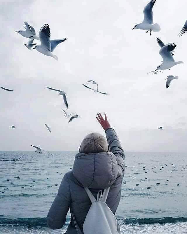 roh_n17's tweet photo. إقرأني بـ صمتٍ ..
ولاتخسر عمراً في مُحاولة فهمي
فـ الأبجديه وحدها لاتگفي !!
گي تعرِفني وتحگُمٓ علٓيّ• https://t.co/QQh8XEvIZs