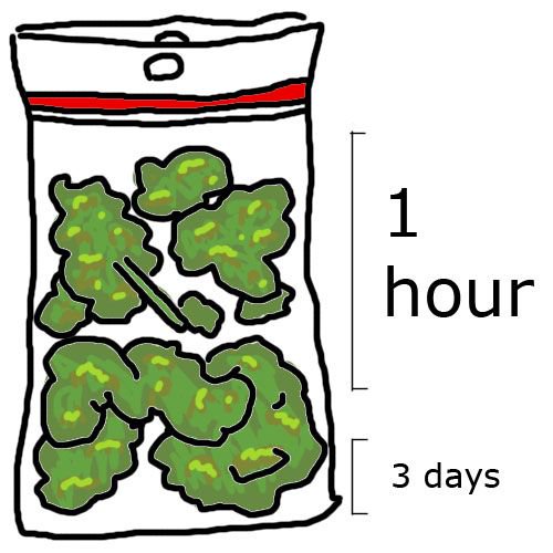 RedEyesOnline's tweet image. How Much Does Your Stash Last?
#NewStash #SmokeEveryday