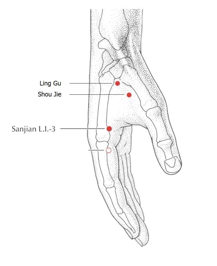 dfordacupunture's tweet photo. Love these Tung points I use them everyday in my clinic. #mastertung #dfordacupuncture #Acupucture https://t.co/XoU1YxNqpf