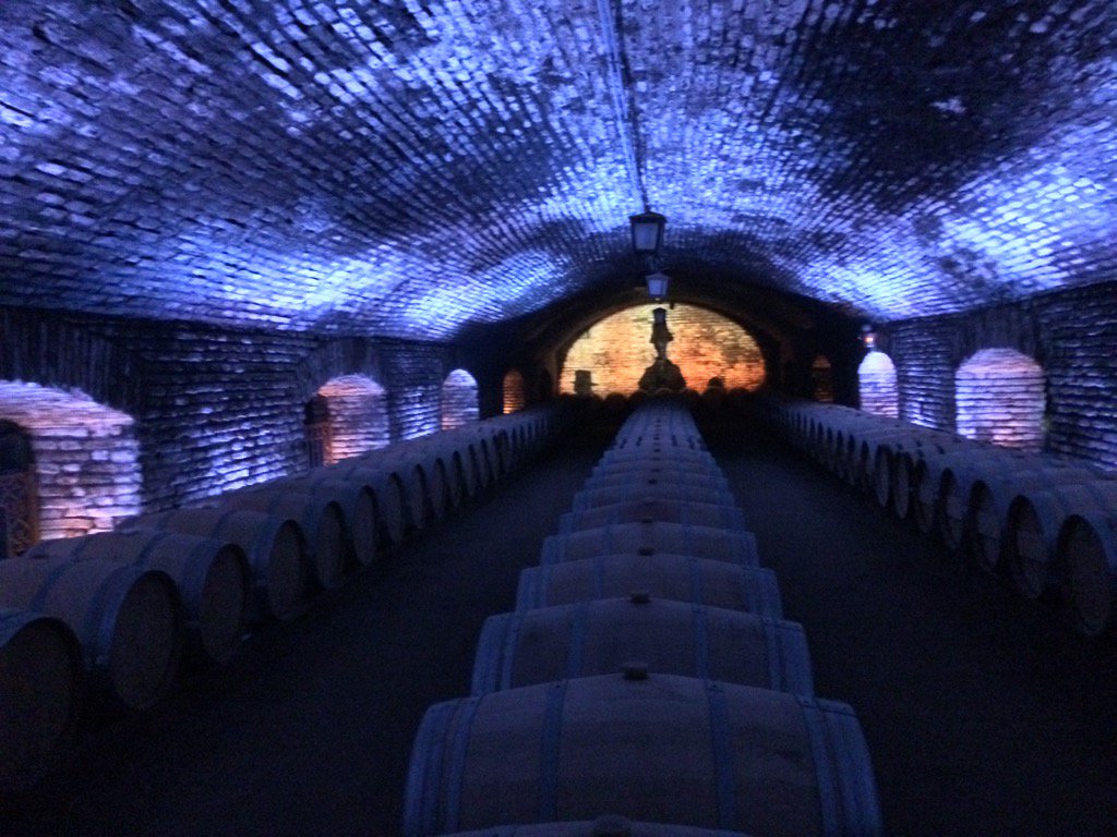 SomosLaTribuFM's tweet image. RT @RaulEcheverriaQ: @DIPRISA  / ¡Queremos una selfie, doc!