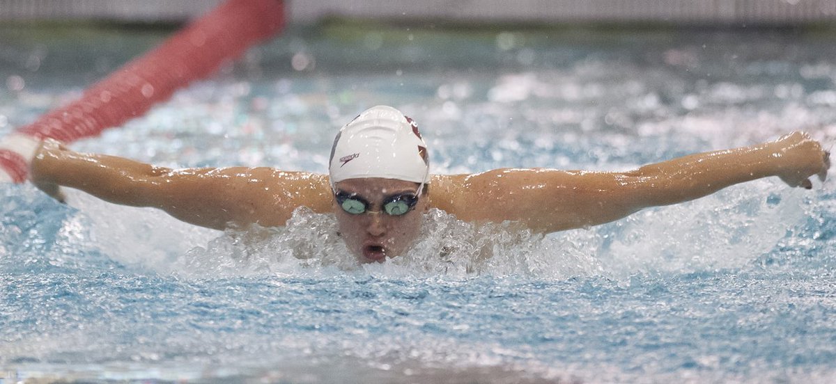 SC_Pride's tweet photo. Dyjak and Carle Race In Opening Day of NCAA Championships https://t.co/ld2rJsO9CR #NCAASD @SC_swimanddive https://t.co/EokcMPhYEV