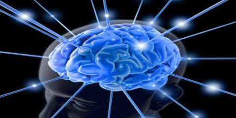OANDorg's tweet photo. The vital link between your immune system &amp; brain health
---> https://t.co/3kTtEUWsAM https://t.co/g9lxDIjW8Q
