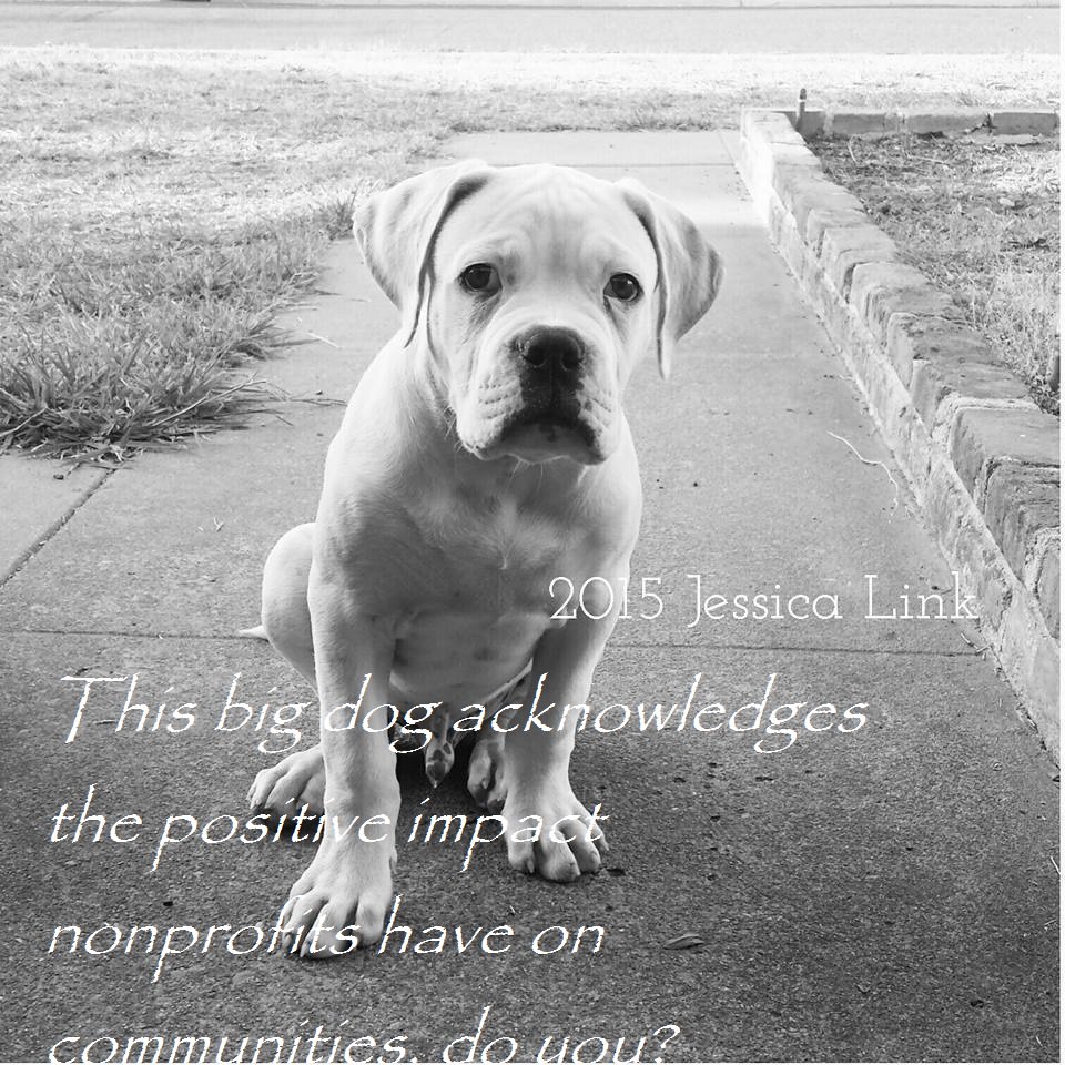 StarLitFOTF's tweet photo. This #BIGDoG2016 acknowledges the impact nonprofits have on communities #StrongerTogether @golden1cu @Bigdayofgiving https://t.co/hB8aXw39Hb