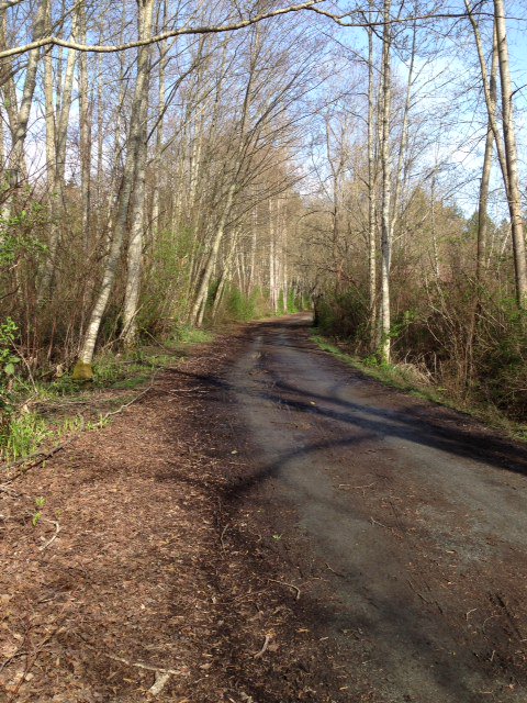 Transform_love's tweet image. Adventure on a bike on the Lochside Trail. #spring #Victoria
