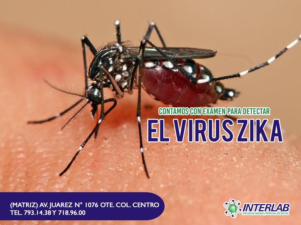 labInterlab's tweet image. Contamos con examen para detectar el virus #ZICA al primer síntoma que presentes.