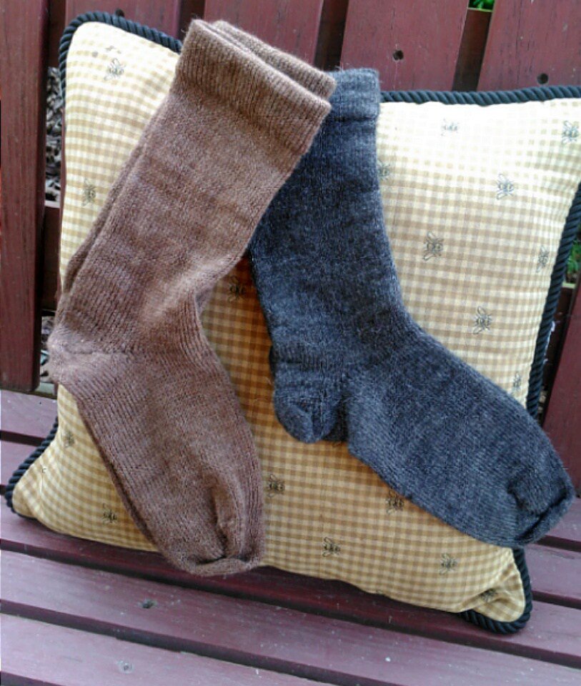 WoolFarmGal tweet picture