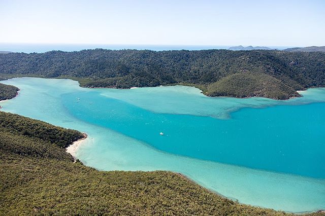 SeaLifeProject's tweet image. Blue blue days, I feel like running away to these blues #lovewhitsundays #hookisland bit.ly/1VdvRud