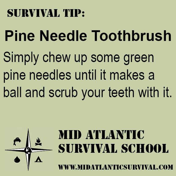 _survivalschool's tweet photo. #survival #prepper #preppertalk #survivalist #survivalskills #prepared #preparedness #SAR #BSA #primitive #bushcraft https://t.co/pWf9Vb2hAK