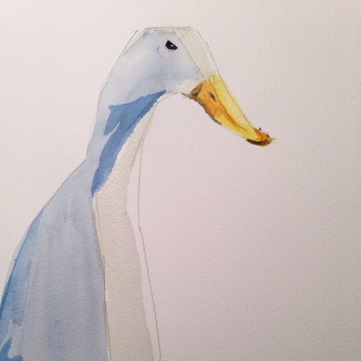 freakyfreakhsu's tweet photo. My work today #watercolour #watercolourpainting #illustration #duck #quacking #nice and #neat https://t.co/xhQY33fYZ2