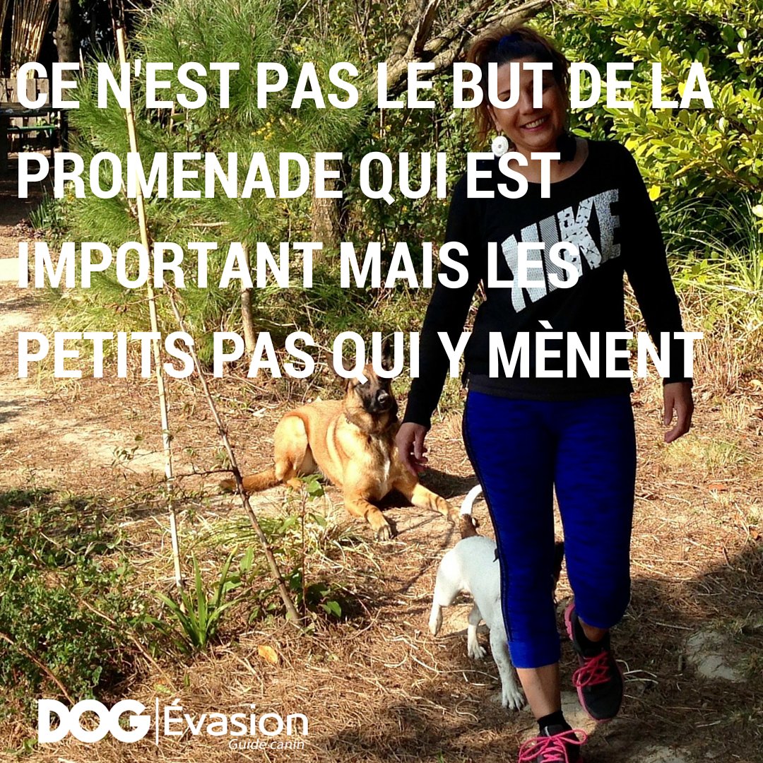 DOG_Evasion's tweet photo. @DogEvasion #MontpellierCapitalRisque #Barbarin @leonnaboo @paroledanimaux #TPMP @ummahanJames #VirginGoodTrip https://t.co/kRYuiAdE2i