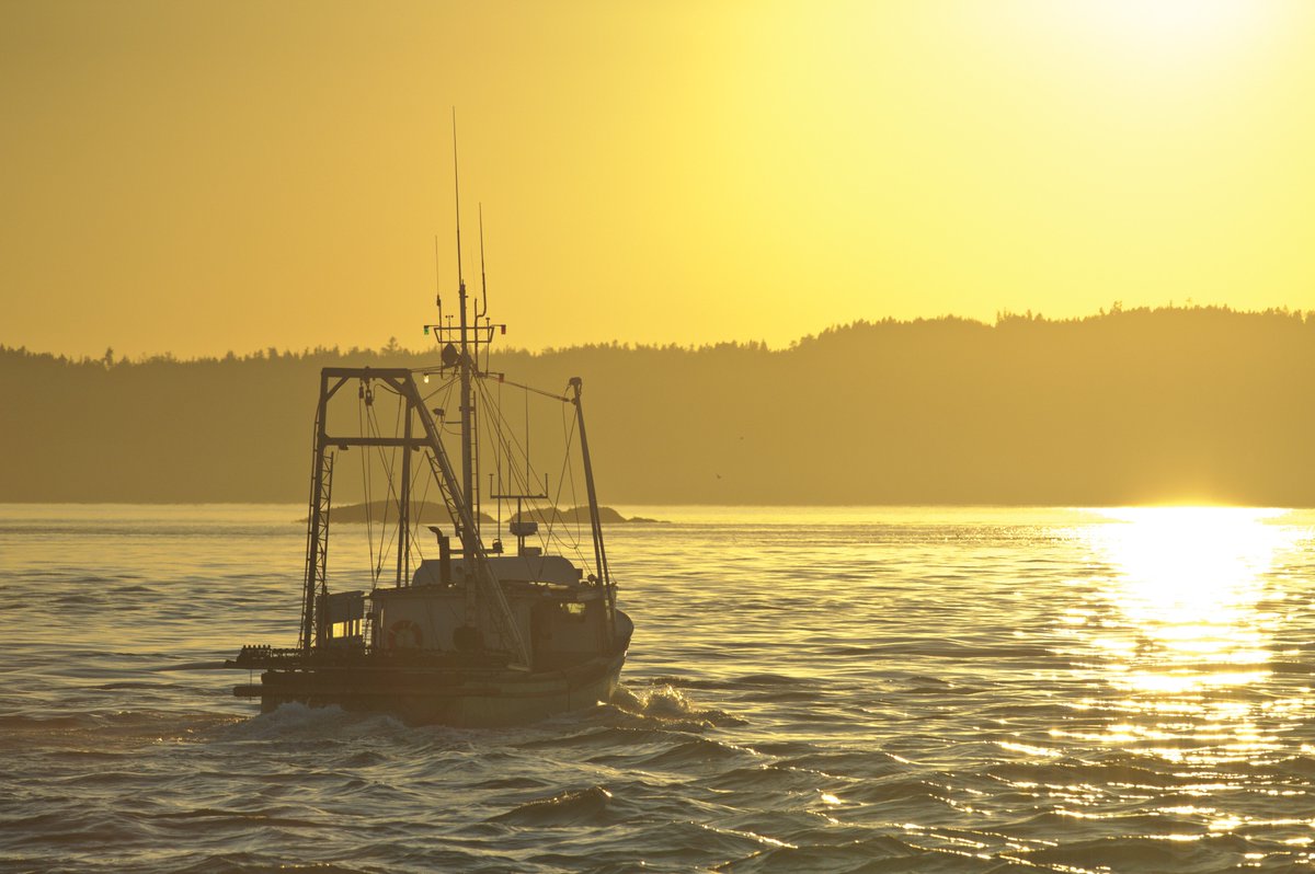 Cindy Kohler (CindyKohler) Twitter