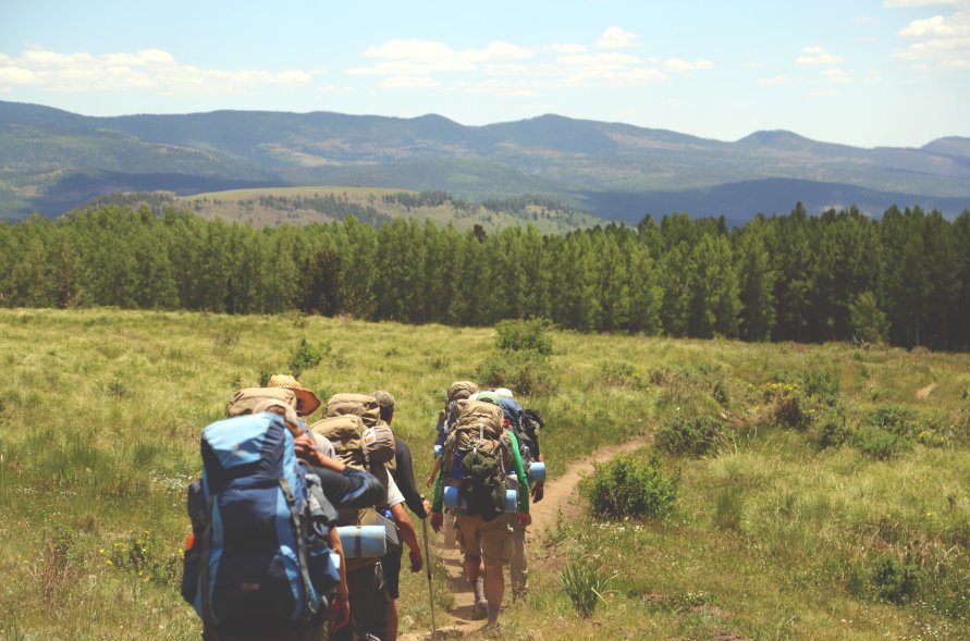 RnfrstAll_UK's tweet photo. On #WanderlustWednesday, our globe-trotting gurus are sharing sustainable #travel tips: https://t.co/Qr2Ql28Q7B https://t.co/FO6PZn6kBG