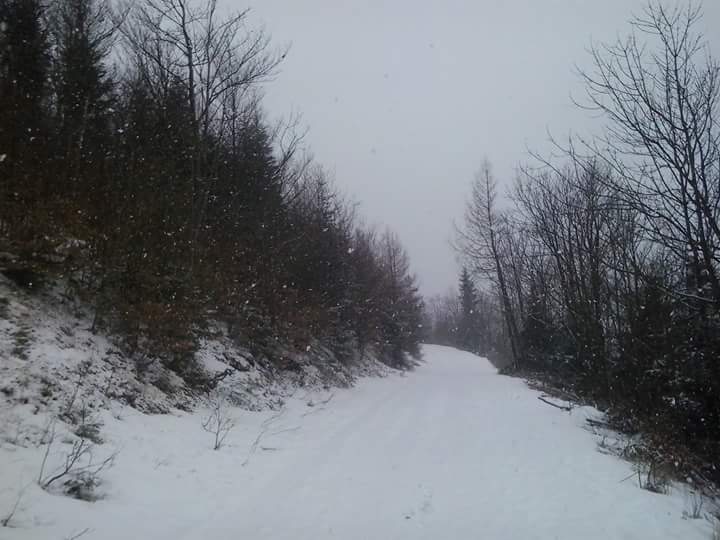 StarsForStarsSK's tweet photo. Our #biathlonist #MiroslavPavlak: "Winter is coming back in #Slovakia"....
#starsforstars #starsforstarsslovakia https://t.co/ZCPQe73TXV