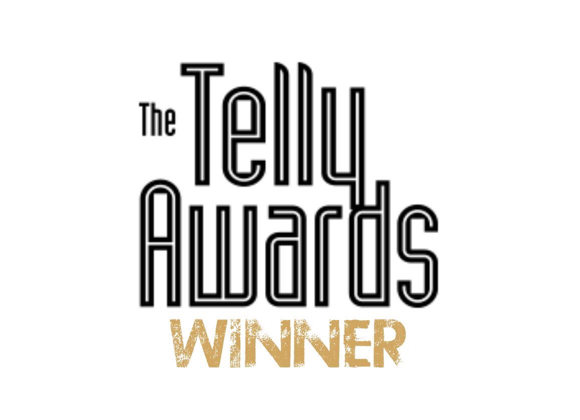 TheFAME2016's tweet photo. So PROUD of our team for their hard work on Season 2!! Celebrating not one, but TWO Bronze Telly Awards today! https://t.co/2O1JfmTDAB