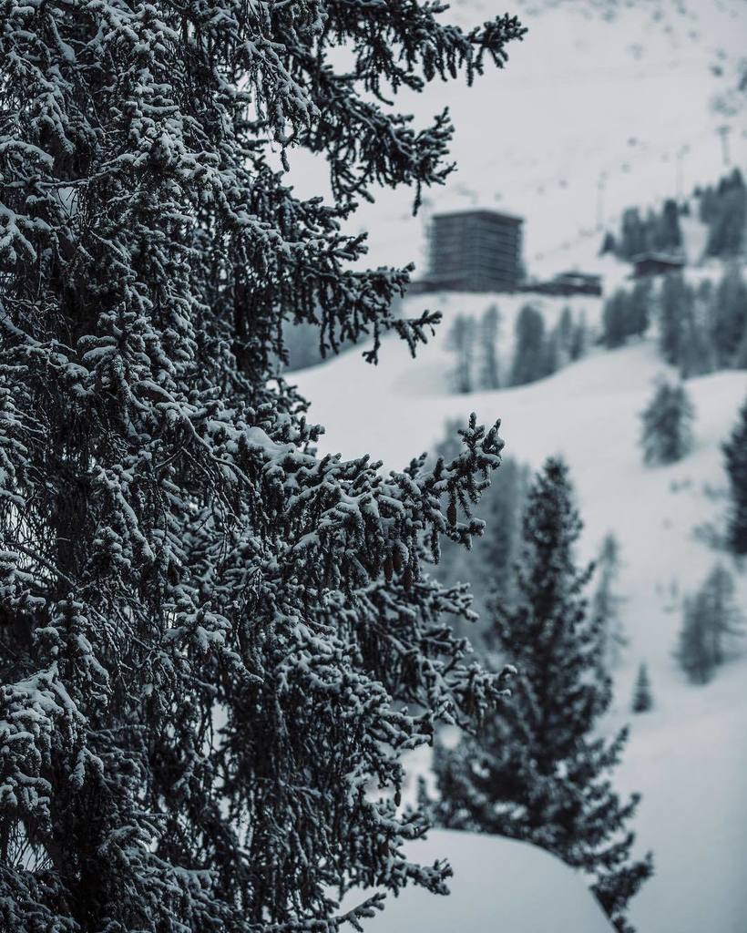 MontagneJadore's tweet photo. La Plagne. #wackytour #wackysheep #neige #paradiski #laplagne #snow #winter #snowboarding #fadeeye #ski by filipz__ https://t.co/9PpjyAGAkK