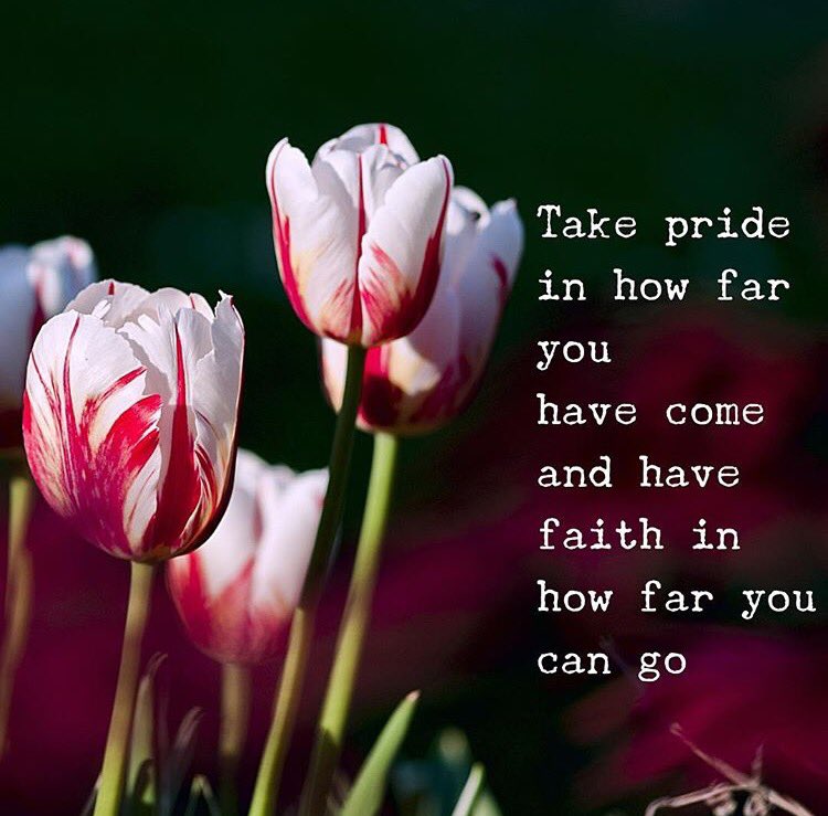 ThisIsMyBrave's tweet image. Here's our weekly words of wisdom from Instagram... #HappyWednesday #WednesdayWisdom #SlowProgressIsStillProgress