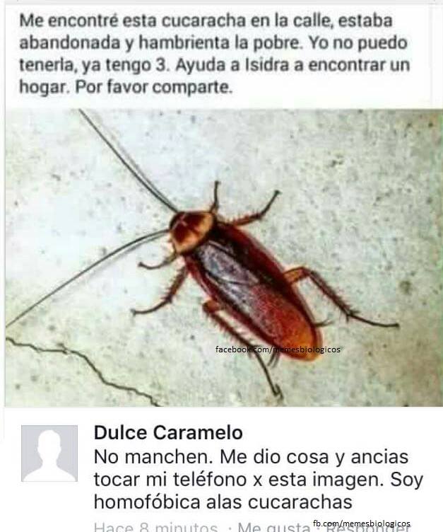 brosmopolitanmx's tweet photo. Cuando La Mujer es dulce pero odia a las cucharachas homosexuales. O algo así.
#Brosmo https://t.co/z3tgpLEt1S