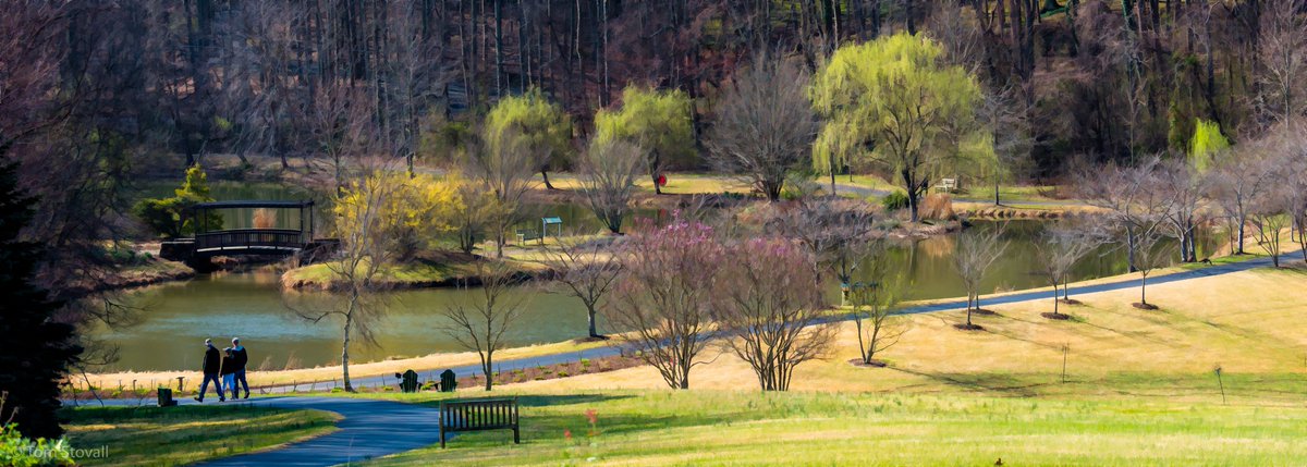 lightlifeimages's tweet photo. Another beautiful morning in Northern Virginia at #MeadowlarkBotanicalGardens #Nova_Parks #NVRPA https://t.co/ww7aFIMHiV