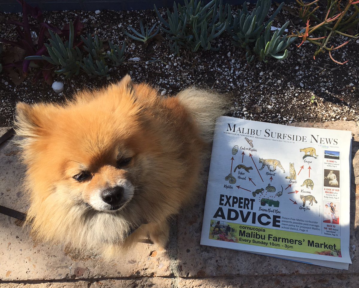 KarmaDealers's tweet photo. @MalibuNews the animals say thank u 4 your cover article. #POISONFREEMALIBU #ratpoisons #poison #MalibuTyler #malibu https://t.co/uvIVQjpzHa