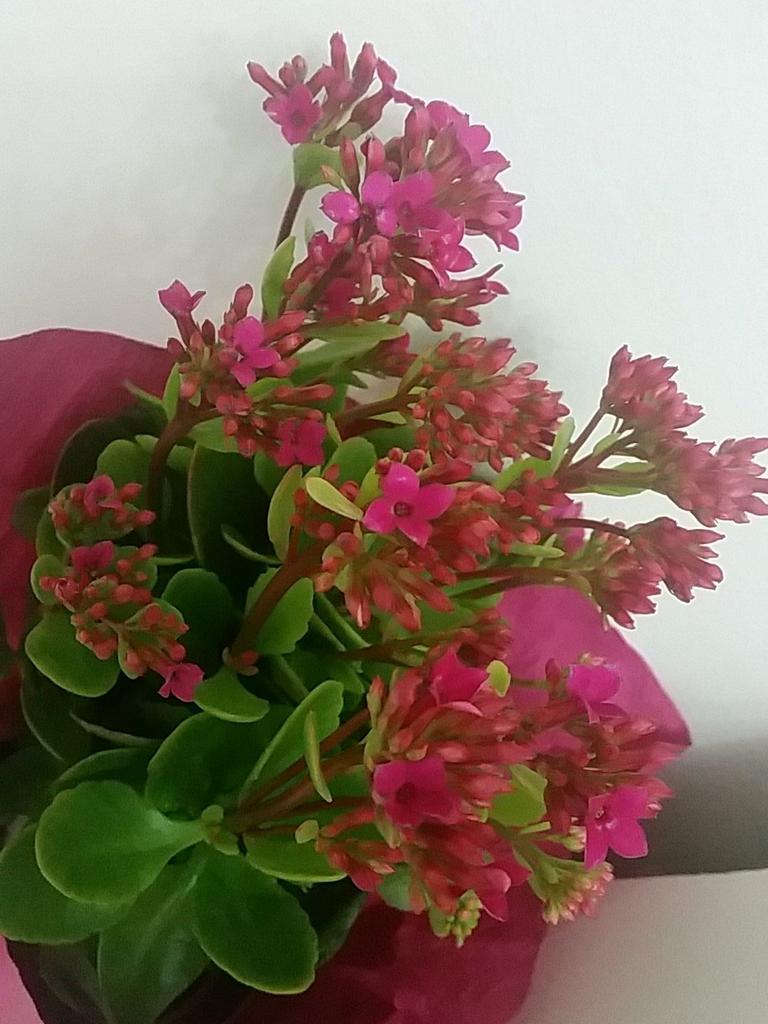 مساء المحبة والسعادة