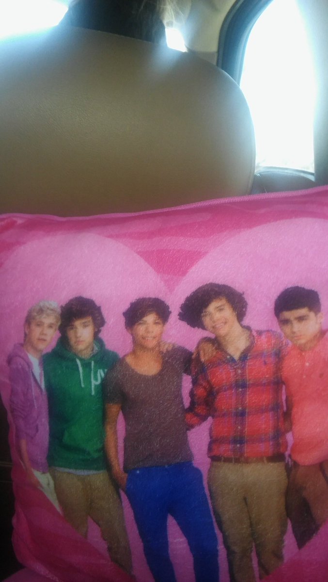 EmmaSheehan1's tweet photo. I got this pillow right after school(3:00) and i screemed. My mom got it https://t.co/biltVHN8gY