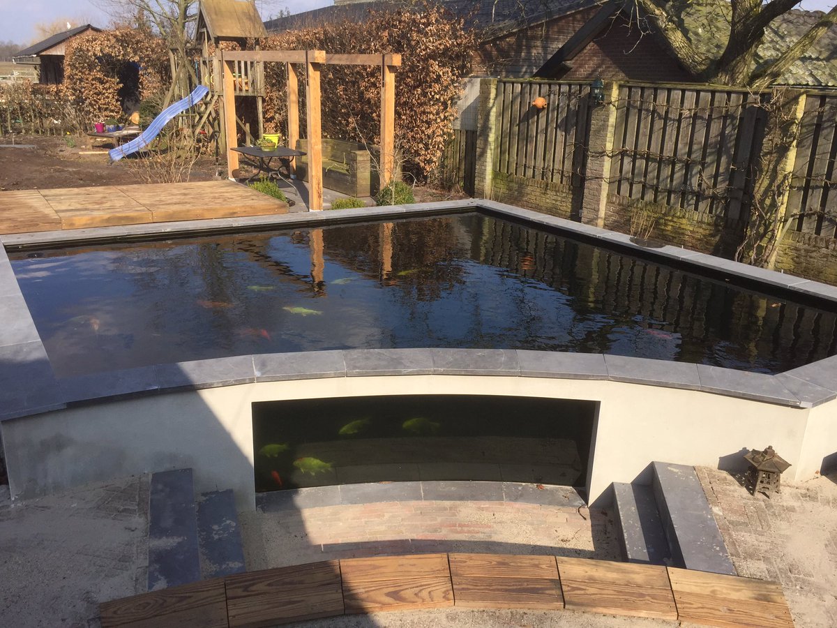 TOP_Koistore's tweet photo. Weer een tevreden klant! Oplevering koivijver met gebogen raam 45m3 https://t.co/JDqMxysMLa