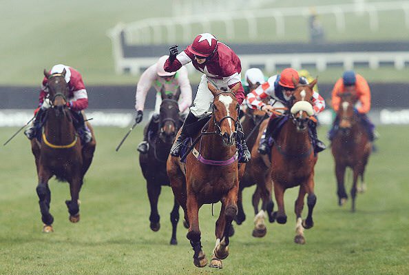 Anybody need any enhanced betting offers for Cheltenham Day 3 🐎🏆🎩