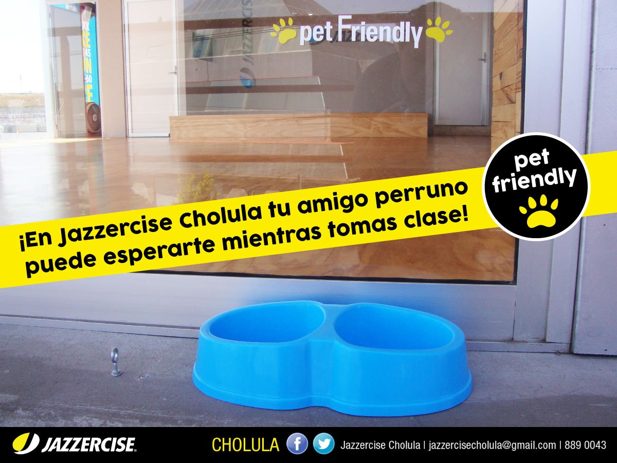 CholuJazz's tweet photo. #petfriendly #Jazzercise ¡En @CholuJazz tu amigo perruno puede esperarte mientras tomas clase! ;) https://t.co/gKn7bmNBG5
