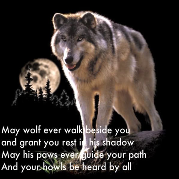 mikakiwanini's tweet photo. #WolfWednesday
#KeepWolvesListed
#SaveOurWolves
#Howling4Wolves
#WolfSaying https://t.co/FCD4NleSwX