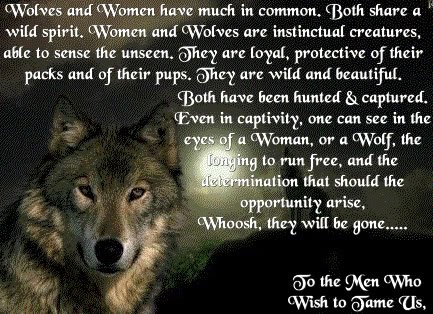 mikakiwanini's tweet photo. #WolfWednesday
#KeepWolvesListed
#SaveOurWolves
#Howling4Wolves
#WolfSaying https://t.co/iLml0lEE5T