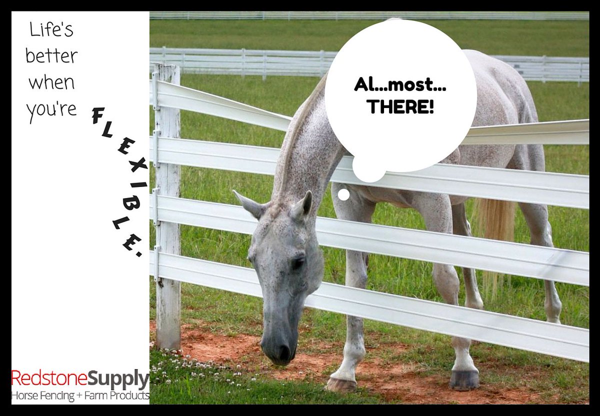 centaur_fencing's tweet photo. @equestrianhour Protect your best friend with Centaur. FREE SHIPPING on fence chargers here: https://t.co/eKB8Qay3xA https://t.co/eE9Ro91KUz