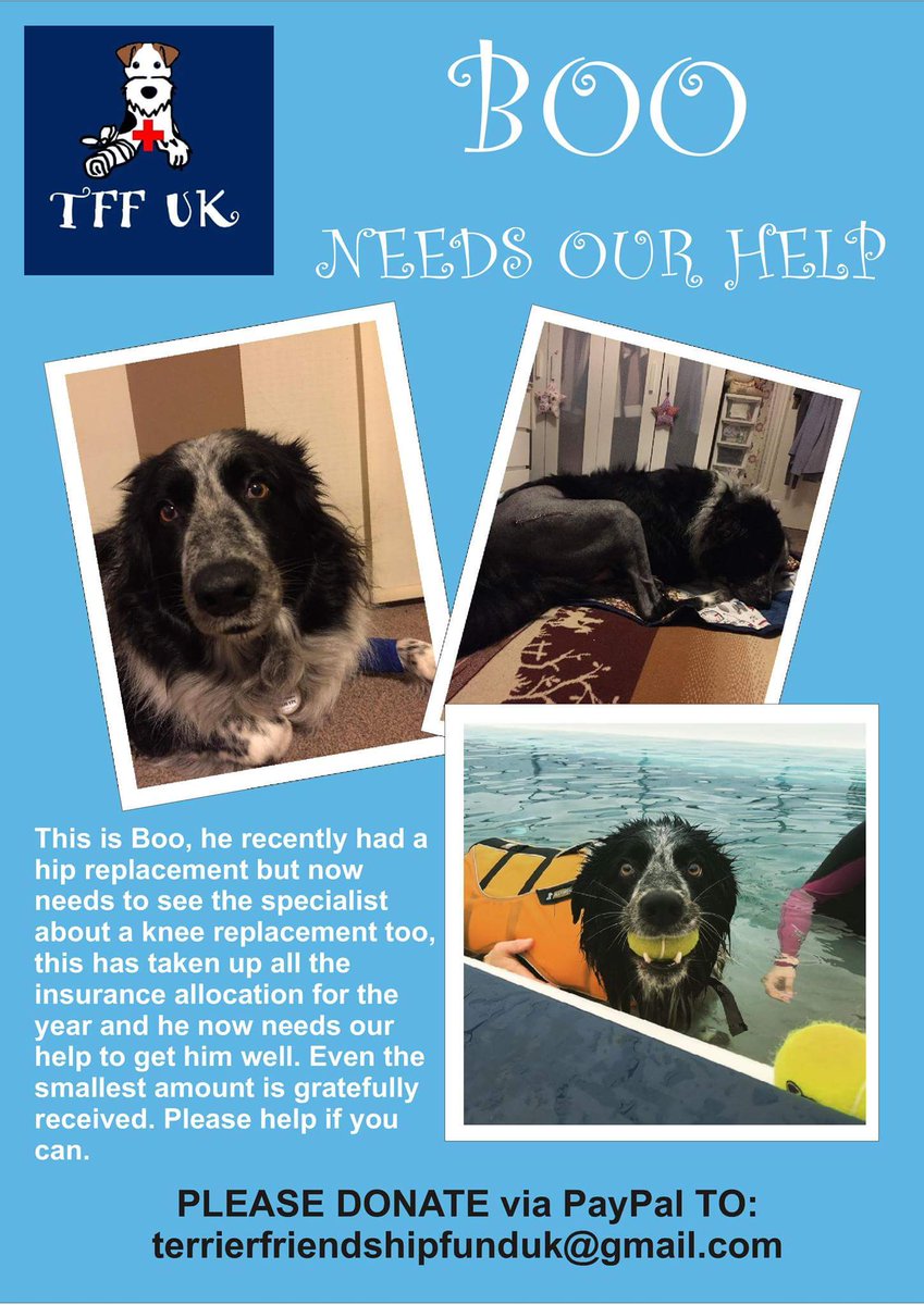 TFF_uk tweet picture
