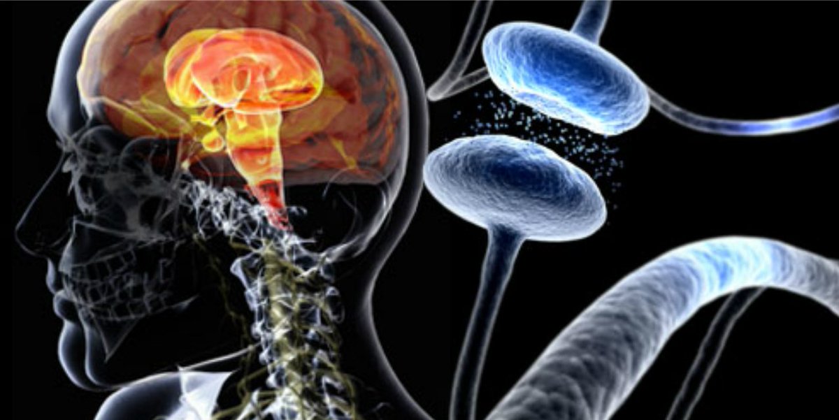 WebMD's tweet image. Not everyone with Parkinson’s disease has a tremor. Know these other 3 distinctive signs. wb.md/1LgSKuN