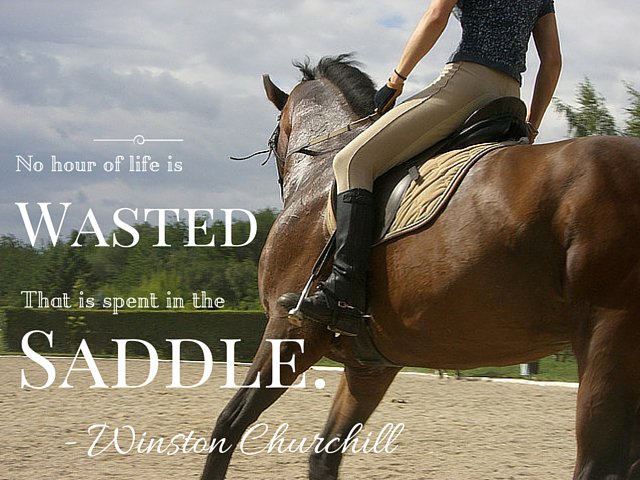 centaur_fencing's tweet photo. Horses make your life rich. #equestrianhour @equestrianhour #quote #churchill https://t.co/0JMRteduFG