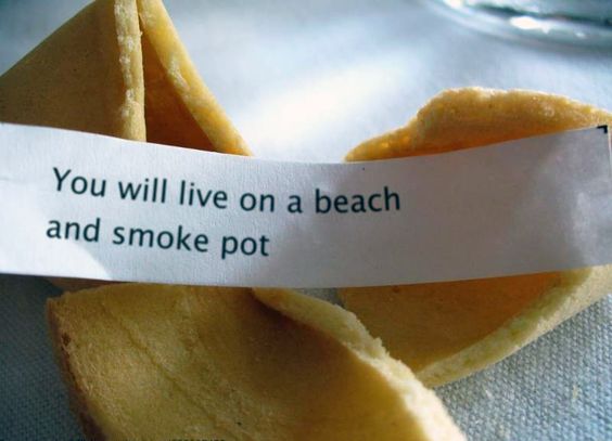 RedEyesOnline's tweet image. Best Fortune Cookie EVER
#SmokePot #FortuneCookie