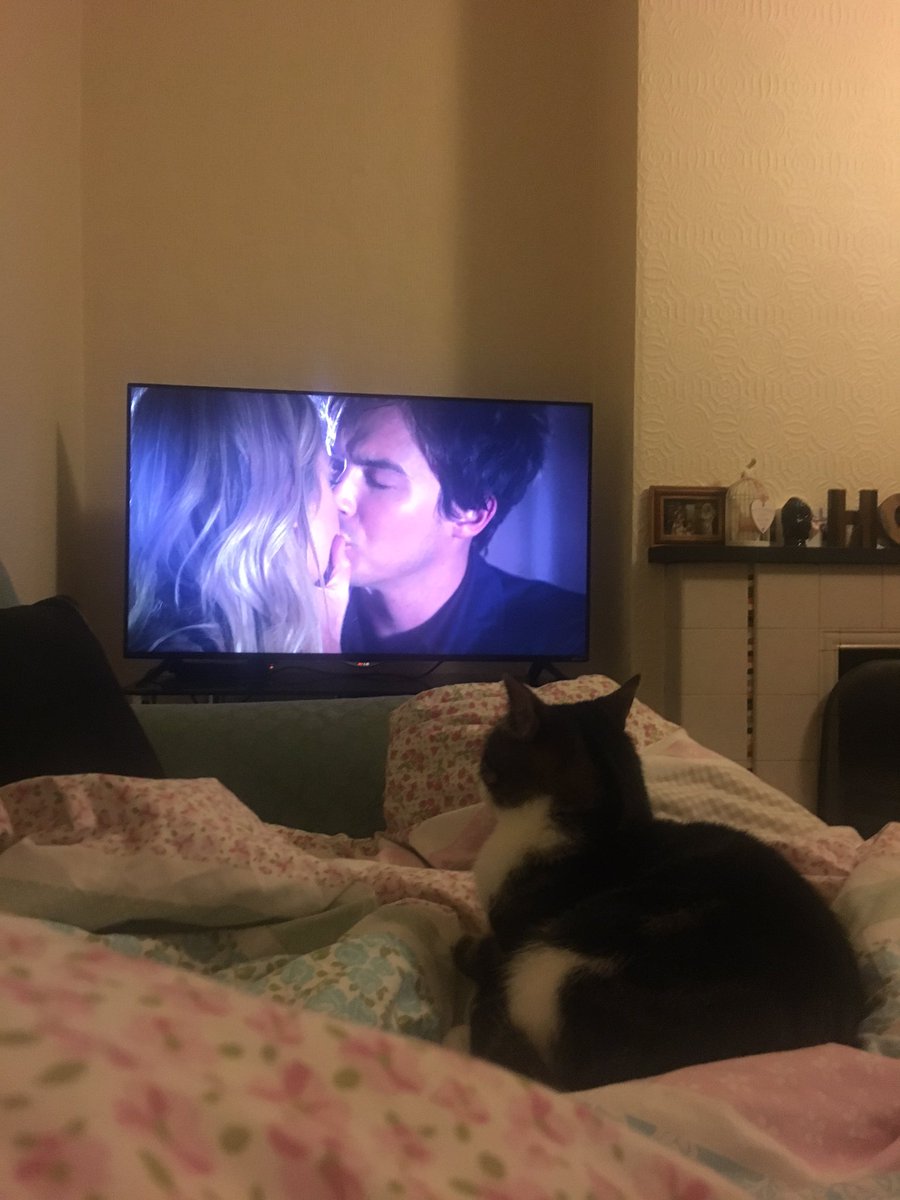 bexrenshaw's tweet photo. Me and rou are so happy at this ๐๐ #HALEBISBACK https://t.co/874FsMNj8s