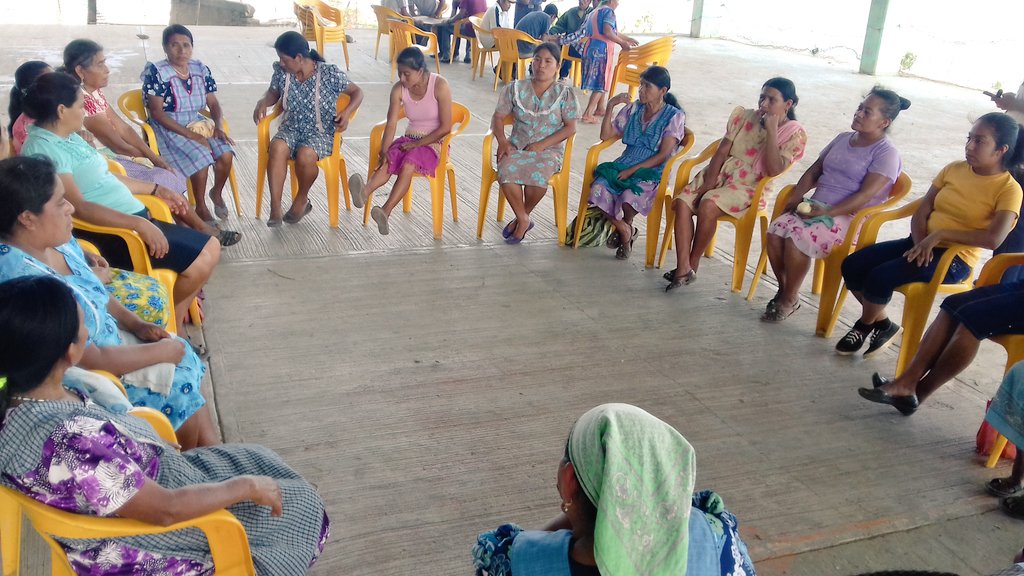 Peegissh1's tweet photo. "Caminando Juntas" Auxiliares y parteras de salud. Pahactla, Hgo. #ConstruyendoFuturo @GeraGarcia04 @Salud_Hidalgo https://t.co/mJyS3ndM1b