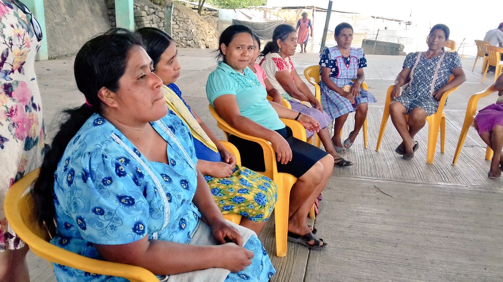 Peegissh1's tweet photo. "Caminando Juntas" Auxiliares y parteras de salud. Pahactla, Hgo. #ConstruyendoFuturo @GeraGarcia04 @Salud_Hidalgo https://t.co/mJyS3ndM1b