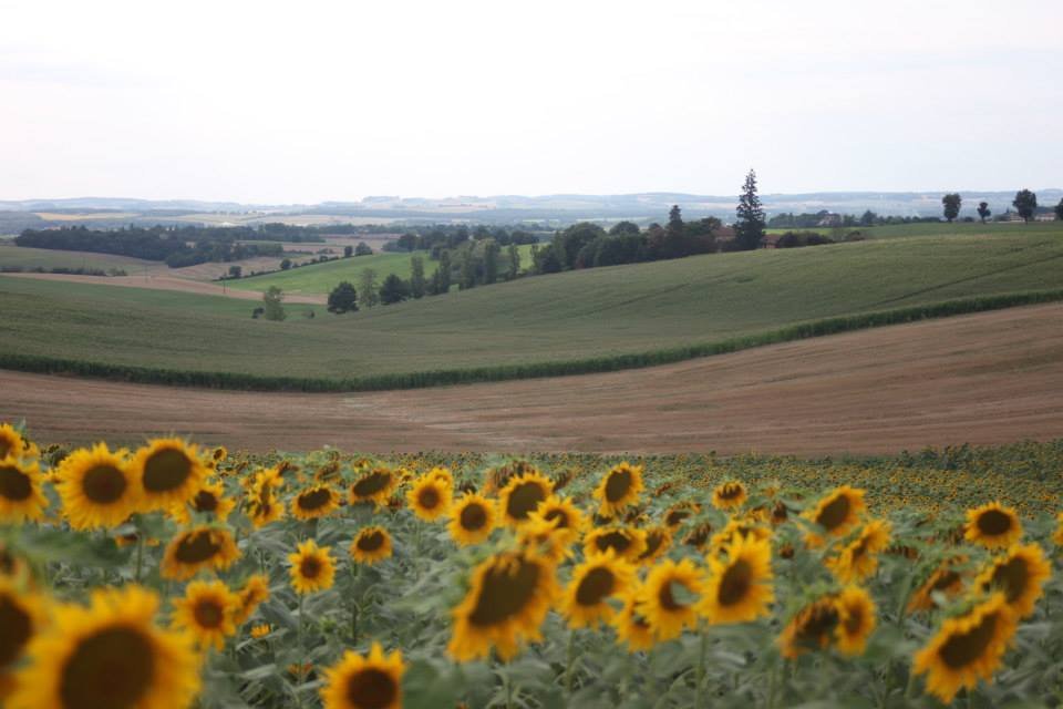 denomyar123's tweet photo. I thought you'd like this Pin on Pinterest... https://t.co/szV9Of5JvC in France with frenchcyclingadventures https://t.co/wdkVo7jNss