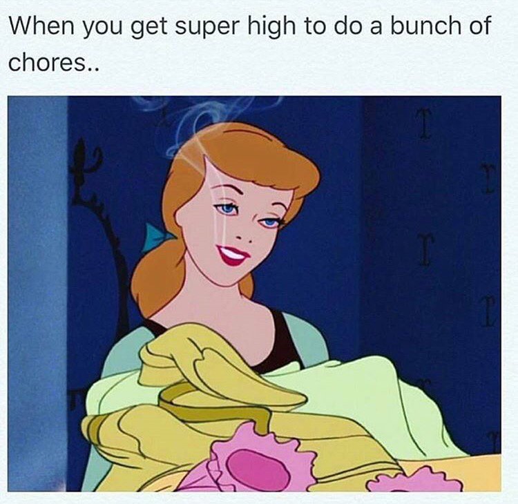 gordonhaylee's tweet photo. Currently 😂🙈🍁 https://t.co/c9WKv6MpTN