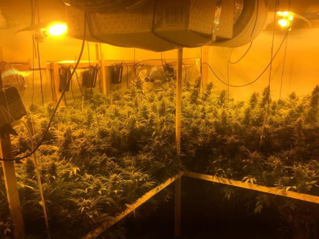 TheSun's tweet photo. Uncovered: Huge cannabis factory hidden in quiet cul-de-sac pictured after police raid https://t.co/RLo5nlWSNp https://t.co/dMXHgkVgFE