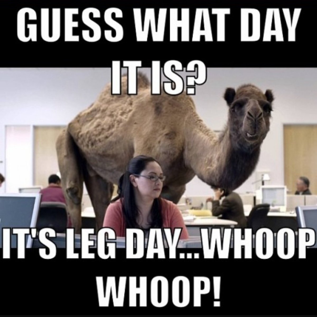 xu_fitness's tweet photo. Today at 7pm in weight room! @CounselingXULA @XULASGA @xulaherald @XulaFood @XulaMassComm @XABoard @cac_xula https://t.co/WIJU3jEh4Q